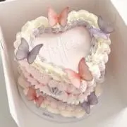 蝶々結びの画像
