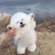なむるの画像