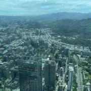 たんぽぽ