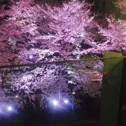 Y☆N　断捨離中