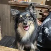ゆうの画像