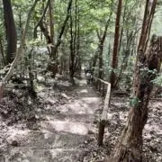 モコの画像