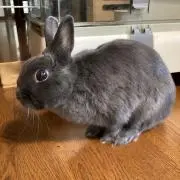 たけいくの画像