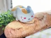 nyan22の画像