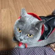 まき