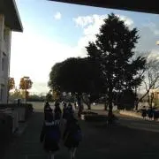 ドラゴンズ
