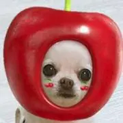 いちごの画像