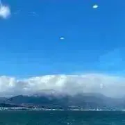 びびの画像