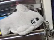 Leoの画像