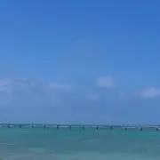LSCの画像