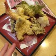 ポリエステル千葉