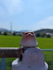 うー坦々