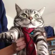 CHERIE『プロフ必読です(^^)』