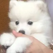 もにゃん[プロフ読んで下さい]