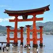 もみじの画像