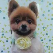 まーこ