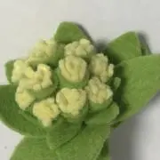 たたこの画像