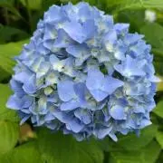 購入メイン★2012〜