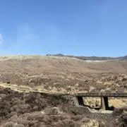 7の画像