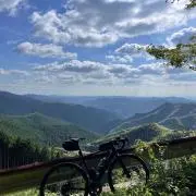 UMRの画像