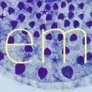 emの画像