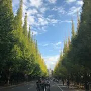 amadの画像