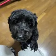 かん