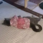 ういの画像