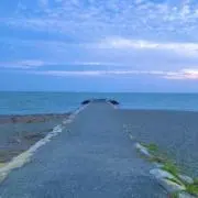 R_nyaの画像