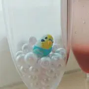 れもねーどの画像