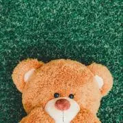 bearの画像
