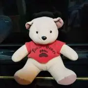 にゃんママの画像