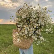 チャム·͜·の画像