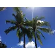 ラブHAWAII