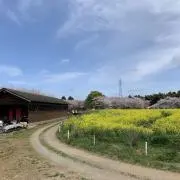 たつの画像