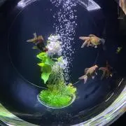 スヌーピーの画像