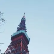 パピコの画像