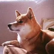 halnaの画像
