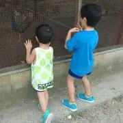 あきそう