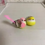 うさちゃんの画像