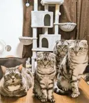 まろん