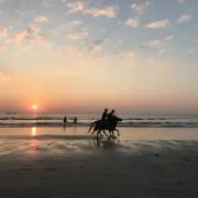 nakanyonの画像