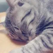 こうめ