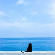 桐子の画像