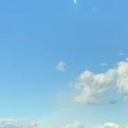 NIKIの画像