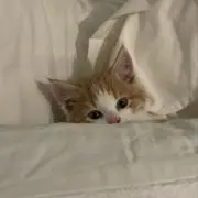 mの画像