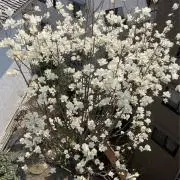 へるの画像