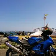 水玉ゼブラ