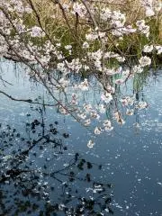 TWの画像