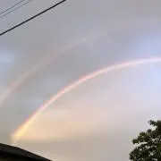 まなの画像